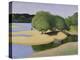 Sandbanks on the Loire (Des Sables Au Bord De La Loire), 1923 (Oil on Canvas)-Felix Edouard Vallotton-Premier Image Canvas