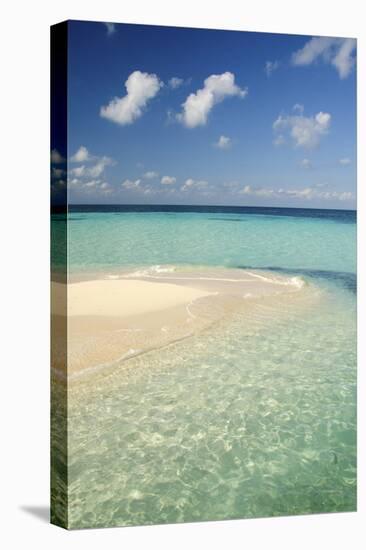 Sandbar, Goff Caye, Belize-Cindy Miller Hopkins-Premier Image Canvas