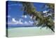 Sandbar Pelican Cay-Larry Malvin-Premier Image Canvas