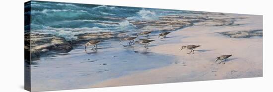 Sanderlings-Michael Jackson-Premier Image Canvas