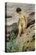 Sandhamn Study-Anders Leonard Zorn-Premier Image Canvas