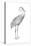 Sandhill Crane (Grus Canadensis), Birds-Encyclopaedia Britannica-Stretched Canvas