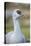 Sandhill Crane (Grus Canadensis) British Columbia, Canada. December-Gerrit Vyn-Premier Image Canvas