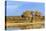 Sandhill Crane Pond, Bosque Del Apache National Wildlife Refuge, New Mexico-Maresa Pryor-Premier Image Canvas