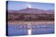 Sandhill Cranes and Full Moon, Bosque Del Apache, New Mexico-Paul Souders-Premier Image Canvas