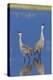 Sandhill Cranes calling-Ken Archer-Premier Image Canvas