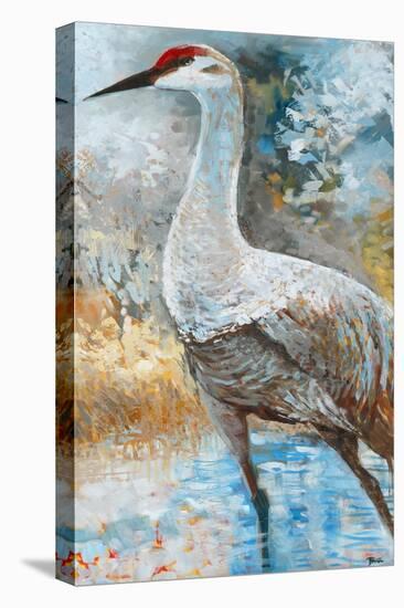 Sandhill Cranes I-Cecile Broz-Premier Image Canvas