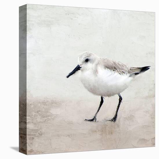 Sandpiper 2-Kimberly Allen-Stretched Canvas