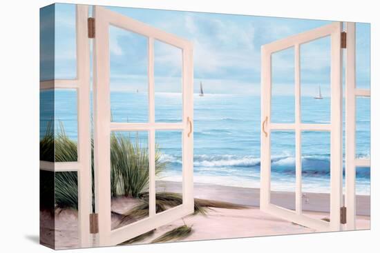 Sandpiper Beach Door-Diane Romanello-Stretched Canvas