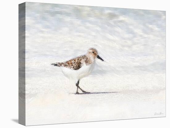 Sandpiper-Denise Brown-Stretched Canvas