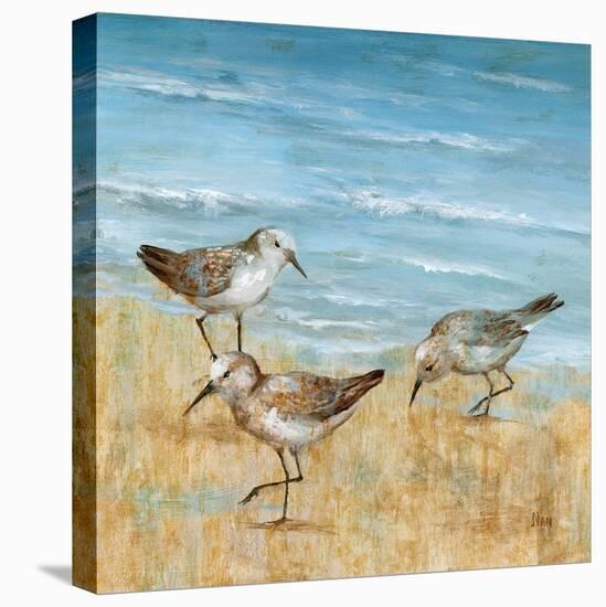 Sandpipers II-null-Stretched Canvas