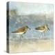 Sandpipers-Kimberly Allen-Stretched Canvas