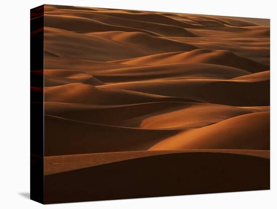 Sands of Time-Art Wolfe-Premier Image Canvas