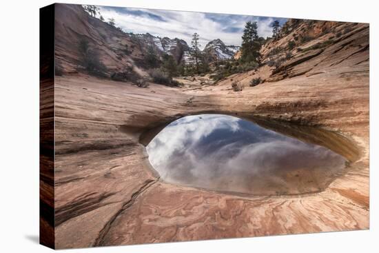 Sandstone and pool, Zion National Park, Utah-Howie Garber-Premier Image Canvas