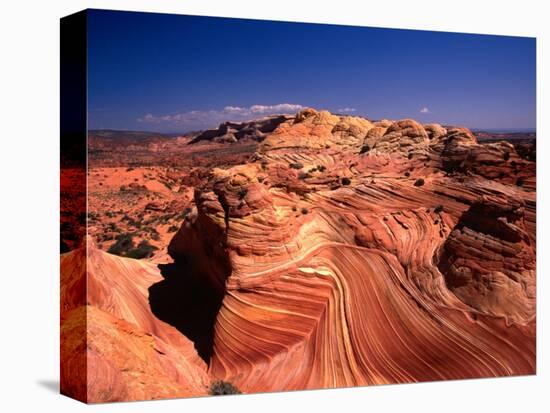 Sandstone Erosion of the Colorado National Monument, Colorado National Monument, USA-Mark Newman-Premier Image Canvas