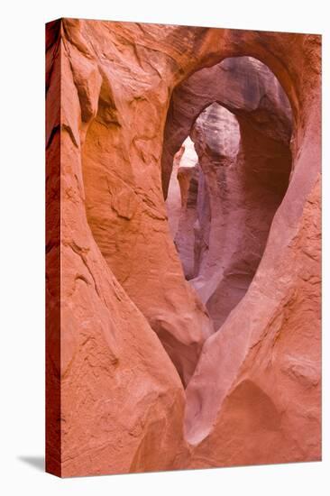 Sandstone formations in Peek-a-boo Gulch, Grand Staircase-Escalante National Monument, Utah, USA-Russ Bishop-Premier Image Canvas