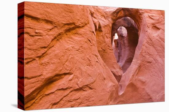 Sandstone formations in Peek-a-boo Gulch, Grand Staircase-Escalante National Monument, Utah, USA-Russ Bishop-Premier Image Canvas