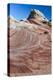 Sandstone landscape, Vermillion Cliffs, White Pocket wilderness, Bureau of Land Management, Arizona-Howie Garber-Premier Image Canvas