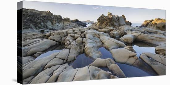 Sandstone, Salt Point State Park, Sonoma Coast, California, Usa-Rainer Mirau-Premier Image Canvas