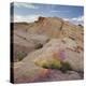 Sandstone, Valley of Fire State Park, Nevada, Usa-Rainer Mirau-Premier Image Canvas