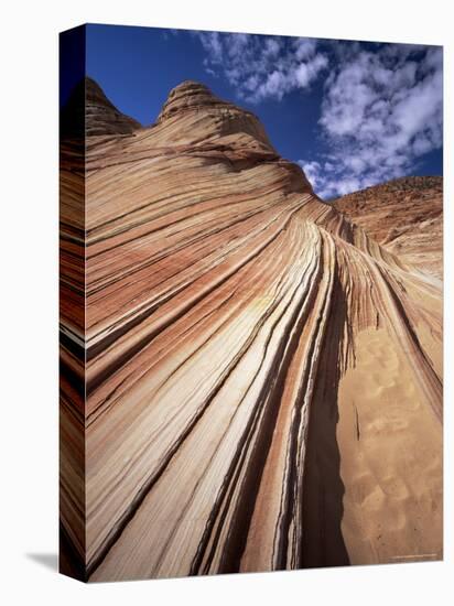 Sandstone Wave, Paria Canyon, Vermillion Cliffs Wilderness, Arizona, USA-Lee Frost-Premier Image Canvas