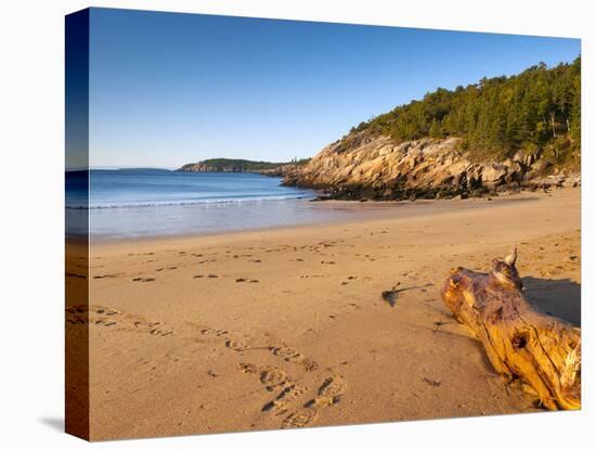 Sandy Beach, Acadia National Park, Mount Desert Island, Maine, New England, USA, North America-Alan Copson-Premier Image Canvas