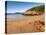 Sandy Beach, Acadia National Park, Mount Desert Island, Maine, New England, USA, North America-Alan Copson-Premier Image Canvas