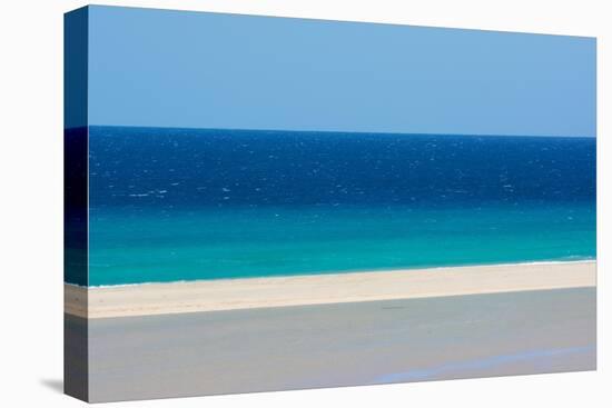 Sandy beach and bright blue ocean, Fuerteventura-Edwin Giesbers-Premier Image Canvas