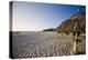 Sandy Beach and Palapas at Divi Beach Aruba-George Oze-Premier Image Canvas