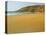 Sandy Beach at Cap Hague, Near Cherbourg, Cotentin Peninsula, Manche, Normandy, France-David Hughes-Premier Image Canvas