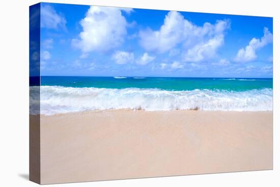 Sandy Beach Background-EllenSmile-Premier Image Canvas