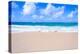 Sandy Beach Background-EllenSmile-Premier Image Canvas