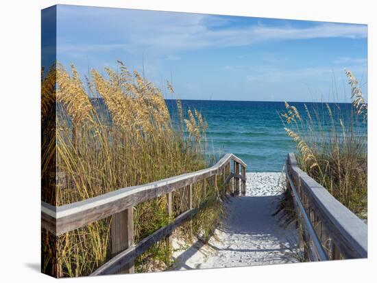 Sandy Boardwalk Path to a Snow White Beach on the Gulf of Mexico with Ripe Sea Oats in the Dunes-forestpath-Premier Image Canvas