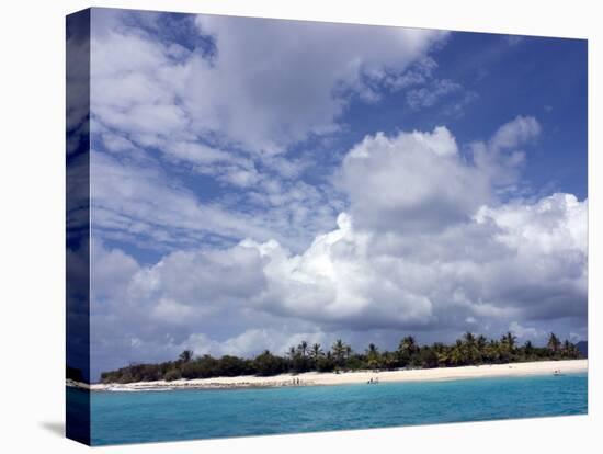 Sandy Cay, British Virgin Islands-null-Premier Image Canvas