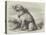 Sandy, from the Crimea, the Dog of the Sappers and Miners-null-Premier Image Canvas