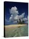 Sandy Island, Anguilla-null-Premier Image Canvas