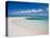 Sandy Point, Little Cayman, Cayman Islands, Caribbean-Greg Johnston-Premier Image Canvas