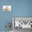 Sandy Rabbit and Two Babies-Mark Taylor-Premier Image Canvas displayed on a wall