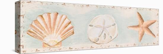 Sandy Shells I-Tiffany Hakimipour-Stretched Canvas