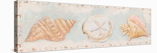 Sandy Shells II-Tiffany Hakimipour-Stretched Canvas