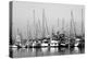 Santa Barbara Boats Mono-John Gusky-Premier Image Canvas