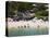 Santa Cruz Beach, Bahias De Huatulco, Oaxaca State, Pacific Coast, Mexico, North America-Richard Cummins-Premier Image Canvas