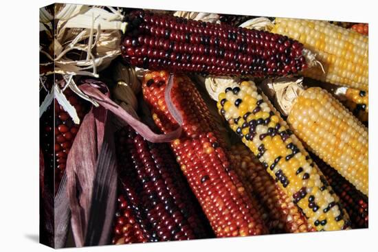 Santa Fe, New Mexico, USA. Dried Indian corn.-Julien McRoberts-Premier Image Canvas