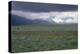 Santa Fe Trail Ruts on the Cimarron Cutoff Route, New Mexico-null-Premier Image Canvas