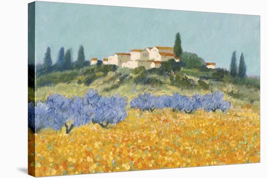 Santa Lucia, Tuscany-Hazel Barker-Stretched Canvas