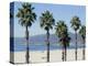 Santa Monica Beach, Santa Monica, California, USA-Ethel Davies-Premier Image Canvas