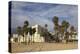 Santa Monica, Los Angeles, California, United States of America, North America-Wendy Connett-Premier Image Canvas