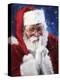 santa2-Meadowpaint-Premier Image Canvas