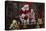 Santa-Santa’s Workshop-Premier Image Canvas