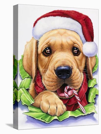 Santa-Jenny Newland-Premier Image Canvas